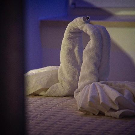 Villa Radic Ston Eksteriør bilde